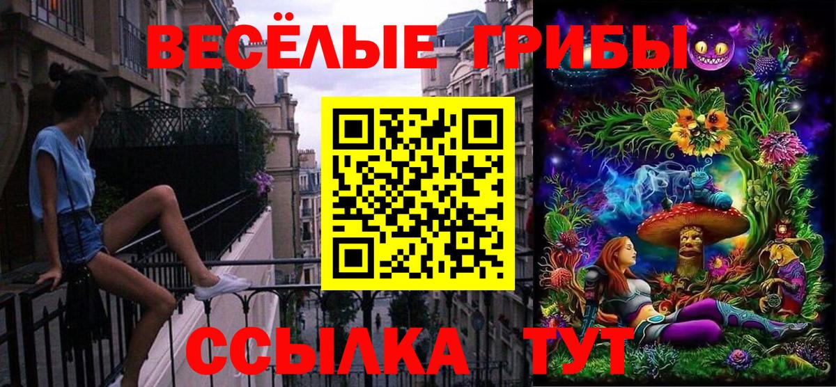 Псилоцибиновые грибы мухоморы Кострома
